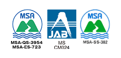 MSA/MS logo