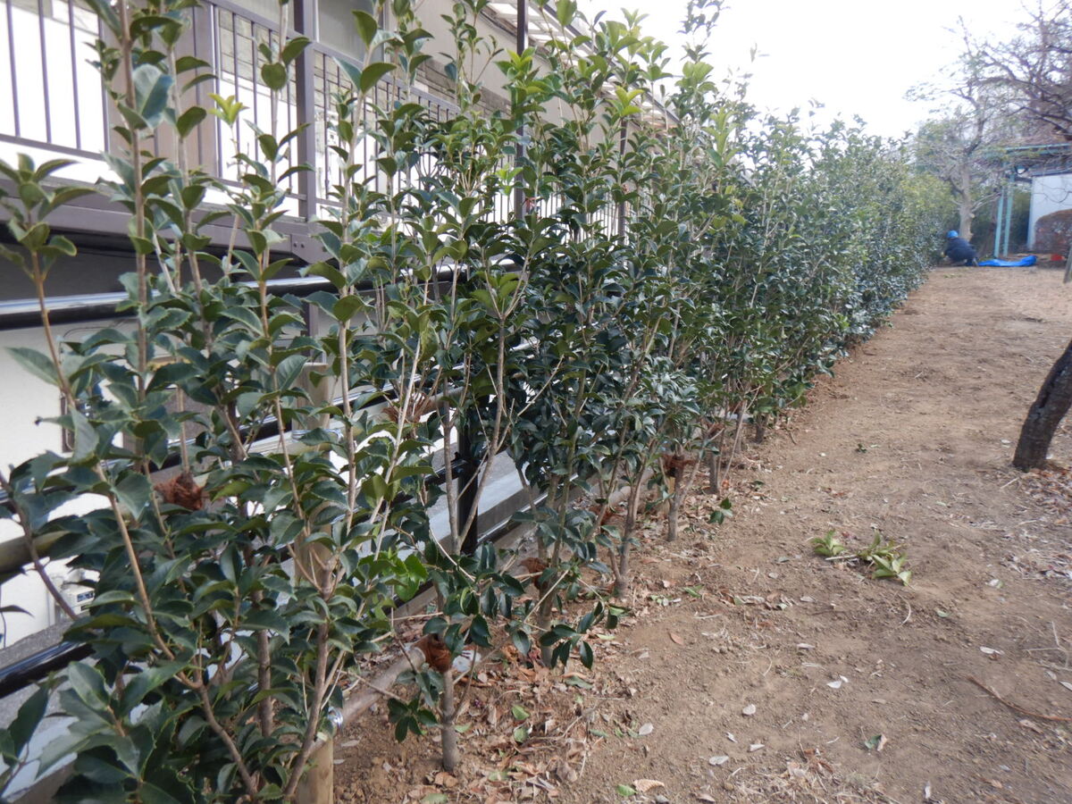 中台町住宅　柵改修工事